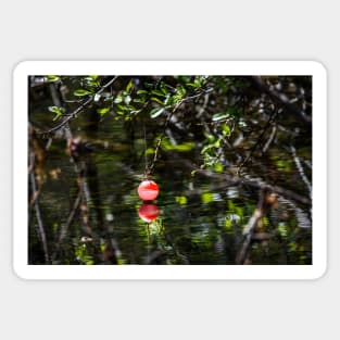 The Lost Bobber by Debra Martz Sticker